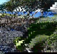 Sunseeker Lodge - Lismore Accommodation