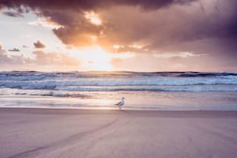 Blue Waters Motel - Lismore Accommodation 0