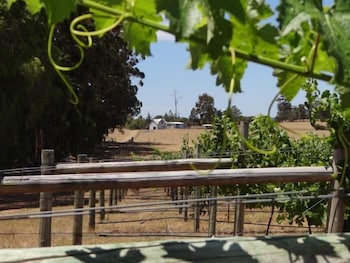 Big Brook Cottages - Lismore Accommodation 4