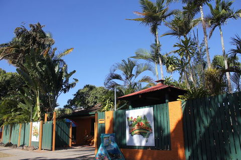 JJs Backpackers Hostel - Lismore Accommodation 1