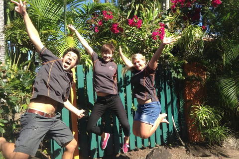 JJs Backpackers Hostel - Lismore Accommodation 6