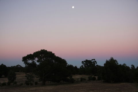 Boroka Downs - Lismore Accommodation 0