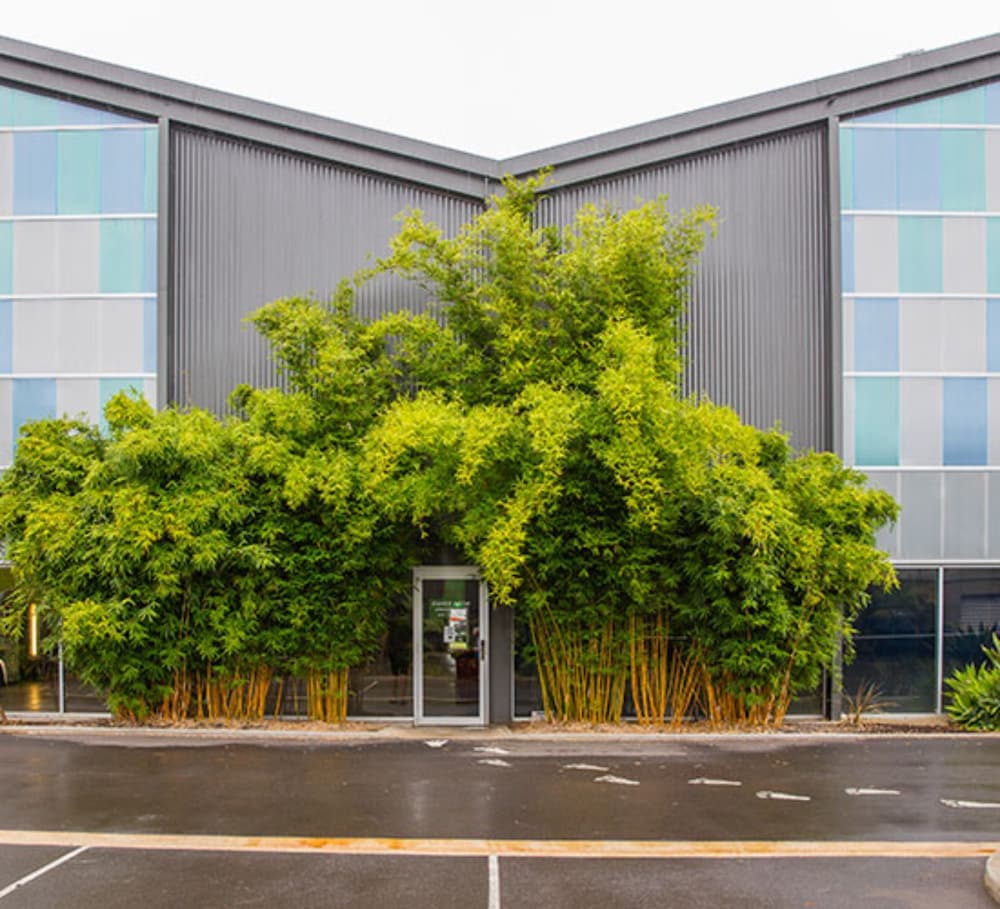  Lismore Accommodation
