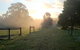 Carinya Park - thumb 2