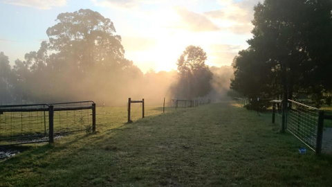 Carinya Park - Lismore Accommodation 2