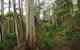 Carinya Park - thumb 1