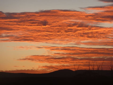Country Bakehouse Accommodation - Lismore Accommodation 0