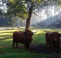 Dingley Dell - Lismore Accommodation