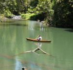 Figtree Getaway - Lismore Accommodation