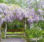 Amelina Cottages - Lismore Accommodation