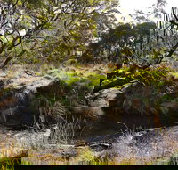 Green Gully House - Lismore Accommodation