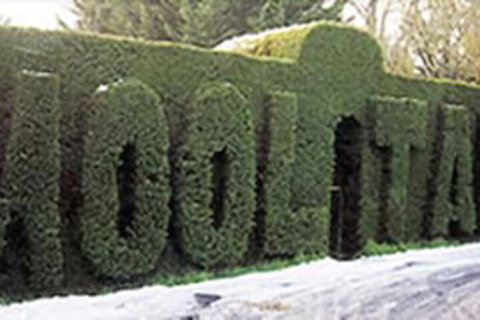 Mooltan House-hepburn Springs - Lismore Accommodation 0