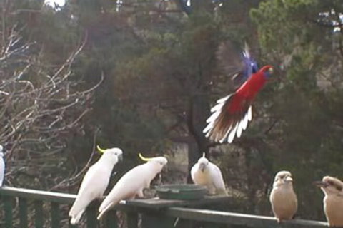 Mooltan House-hepburn Springs - Lismore Accommodation 3