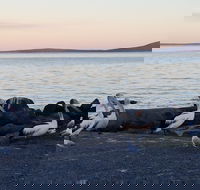 Hilton Motel - Lismore Accommodation