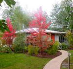 Dalrymples Guest Cottages - Lismore Accommodation