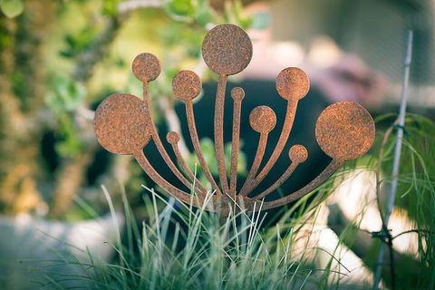 Bed Of Roses - Lismore Accommodation 0