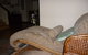 Falls Retreat B & B - thumb 0