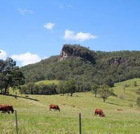 Rosevale House - Lismore Accommodation