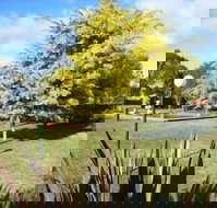 Bairnsdale Main Motel