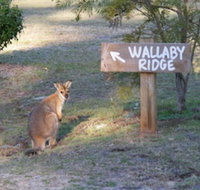 Wallaby Ridge Retreat