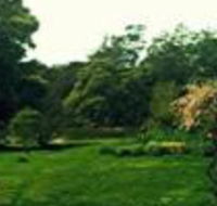 Birdwing Bed  Breakfast Weegena - Lismore Accommodation