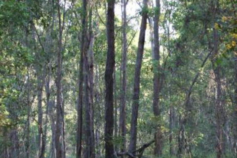 Bungadoo Country Cottage - Lismore Accommodation 7