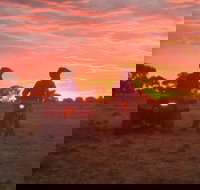 Corynnia Station - Lismore Accommodation