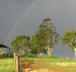 CBR Equine Cottage - Lismore Accommodation