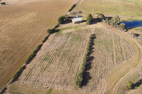 Charles Reuben Estate - Lismore Accommodation 1