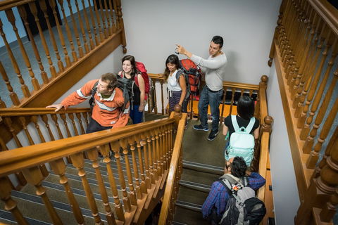 Blue Galah Backpackers Hostel - Lismore Accommodation 4