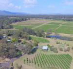 McCaffreys Estate - Lismore Accommodation