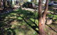 Sea Nest - thumb 5