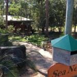 Sea Nest - Lismore Accommodation 0