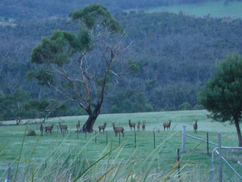 Hawksview At Mafeking - Lismore Accommodation 3