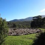 Hawksview At Mafeking - Lismore Accommodation 0