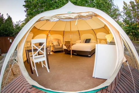 BIG4 Yarra Valley Park Lane Holiday Park - Lismore Accommodation 5