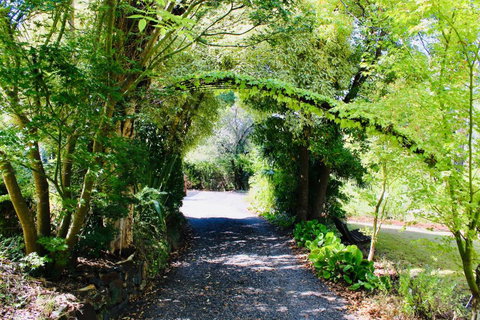 Nagoondie Studio - Lismore Accommodation 3