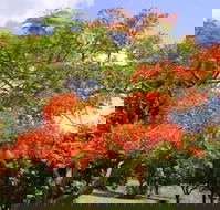 Eastwood Farm - Lismore Accommodation
