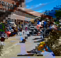 Cockatoo Island - Lismore Accommodation