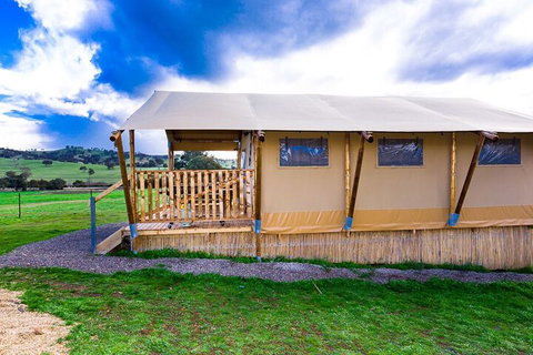Hillview Farmstay - Lismore Accommodation 3