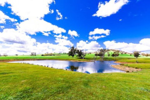 Hillview Farmstay - Lismore Accommodation 0