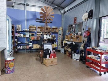 Litchfield Tourist Park - Campground - Lismore Accommodation 2