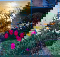 The Vines Motel and Cottages - Lismore Accommodation