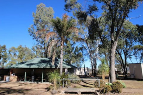 AAOK Jandowae Accommodation Park - Lismore Accommodation 0