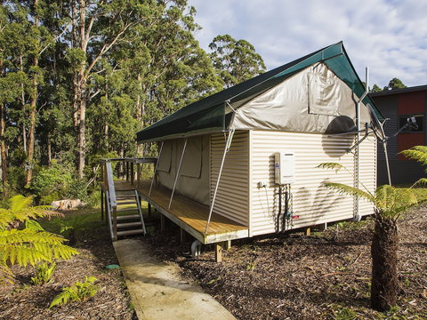 NRMA Port Arthur Holiday Park - Lismore Accommodation 4