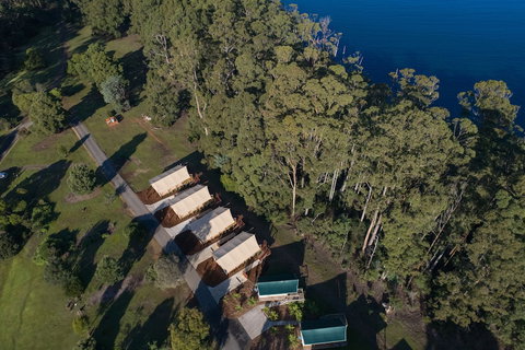 NRMA Port Arthur Holiday Park - Lismore Accommodation 3