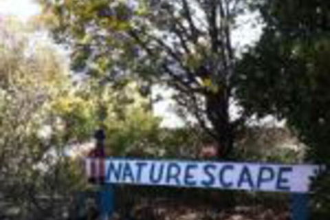 Naturescape - Lismore Accommodation 0