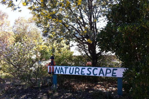Naturescape - Lismore Accommodation 7