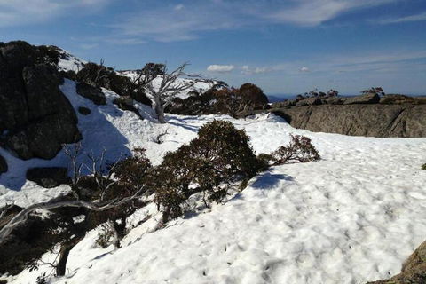 Naturescape - Lismore Accommodation 6