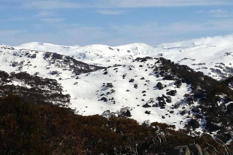 Naturescape - Lismore Accommodation 5